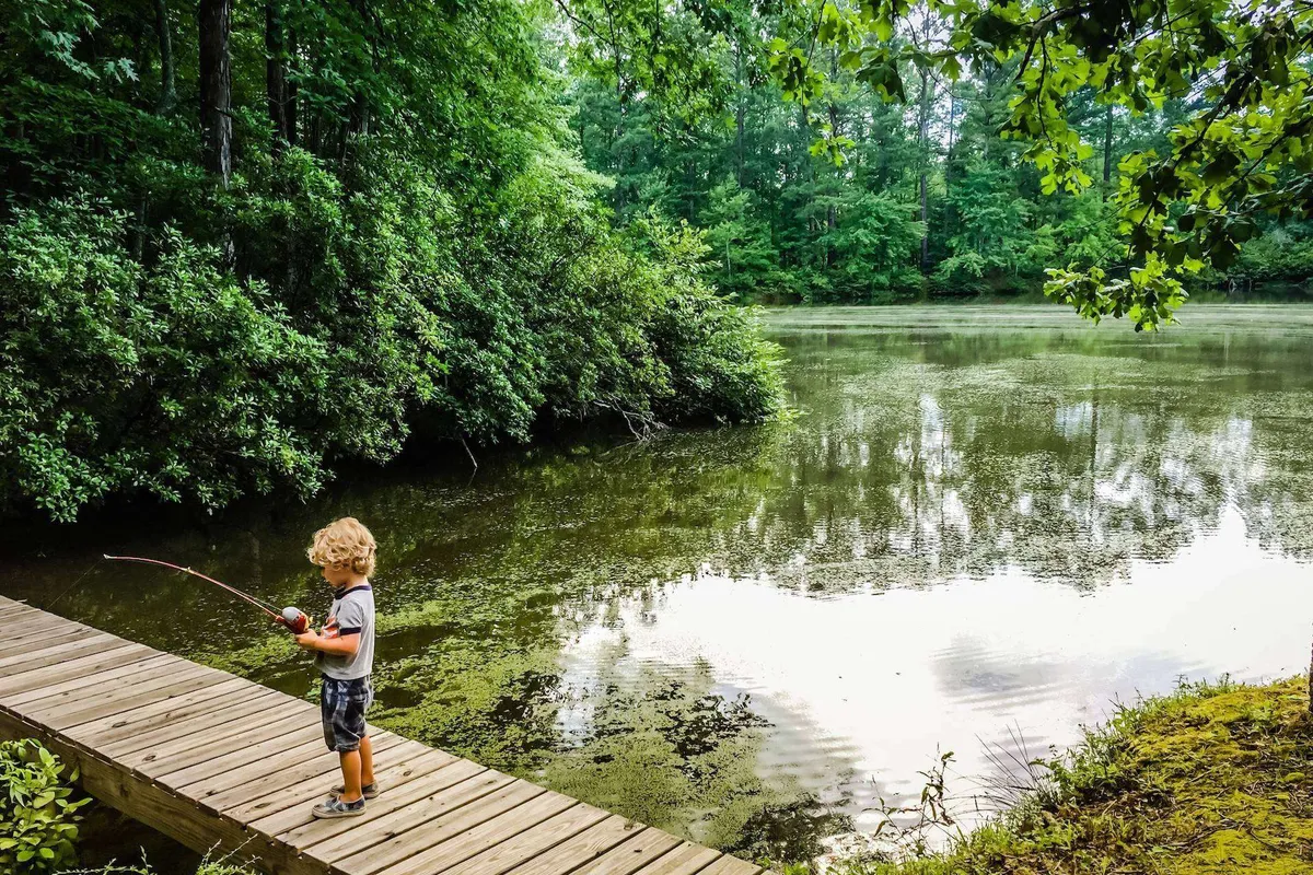 A child stands by the edge of calm water, fishing with lush greenery all around. The tranquil scene highlights the joys of family outings and exploration in nature, with open space for children and pets to roam.