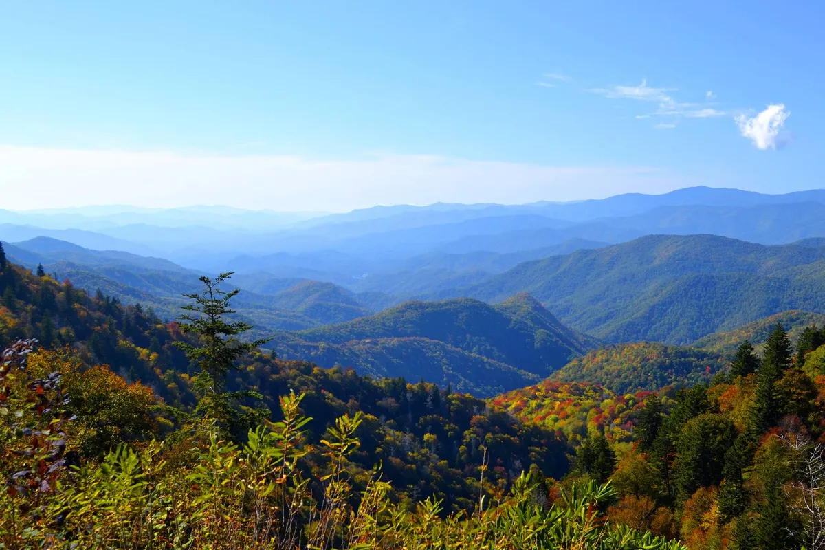 This image features a majestic mountain range with vibrant autumn foliage under a vast blue sky. The expansive outdoors is inviting and hints at hiking, nature exploration, and plenty of space to roam.